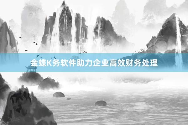 金蝶K务软件助力企业高效财务处理