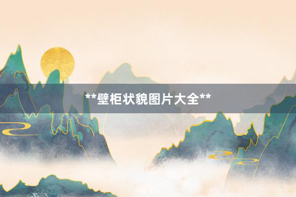 **壁柜状貌图片大全**