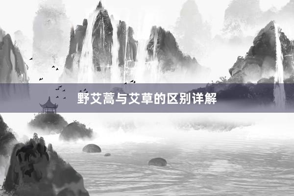 野艾蒿与艾草的区别详解