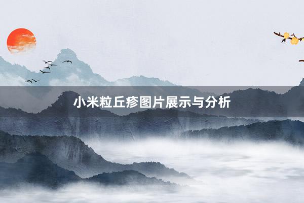 小米粒丘疹图片展示与分析