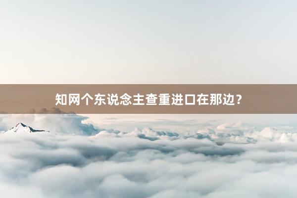 知网个东说念主查重进口在那边?
